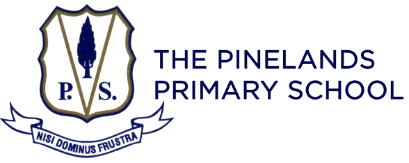 The Pinelands Primary School